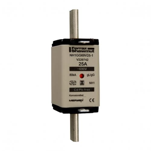 V229742 Part Image. Manufactured by Mersen.