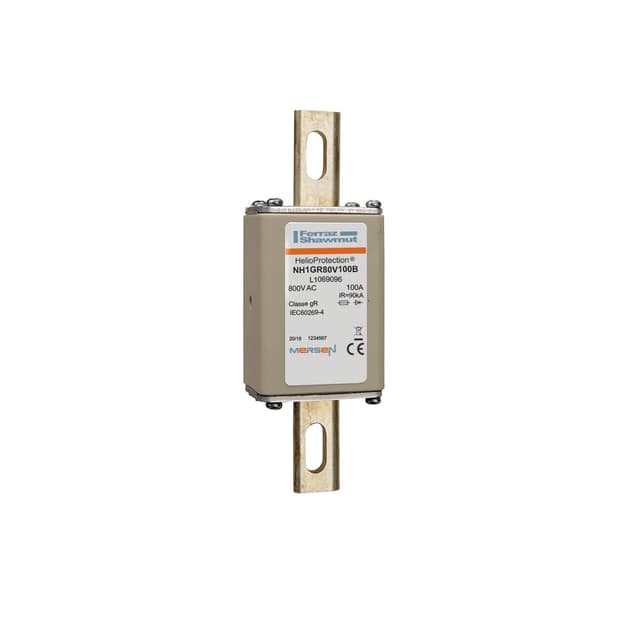 L1069096 Part Image. Manufactured by Mersen.