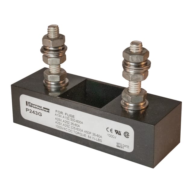 P243G Part Image. Manufactured by Mersen.