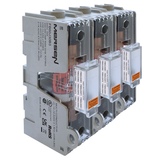 FB60J30B3 Part Image. Manufactured by Mersen.