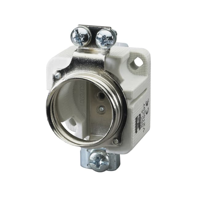 V215597 Part Image. Manufactured by Mersen.