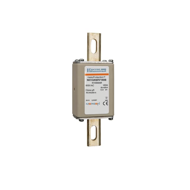 N1069098 Part Image. Manufactured by Mersen.