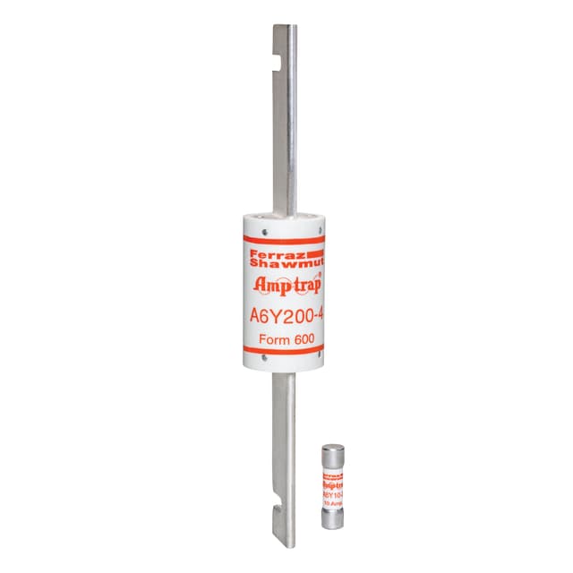 A6Y300-4 Part Image. Manufactured by Mersen.